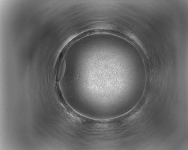 X0000054430829200508051830