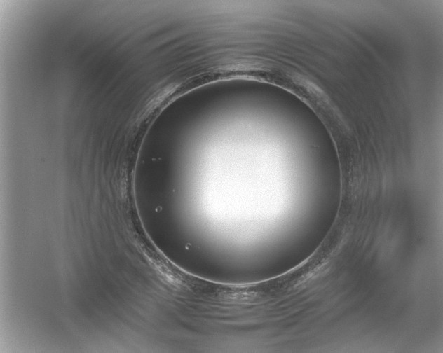 X0000054430833200508051830