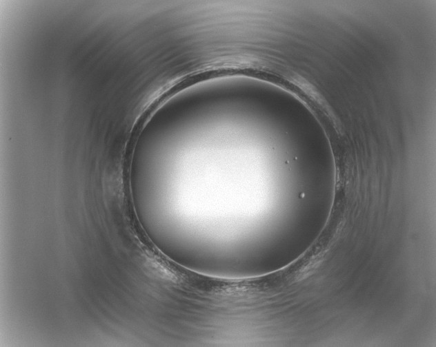 X0000054430834200508051830