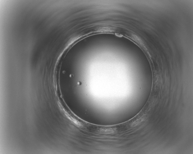 X0000054430843200508051830