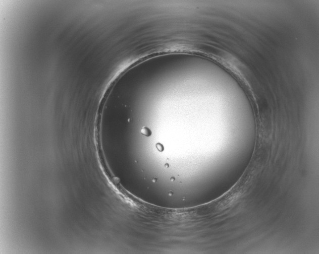 X0000054430847200508051831