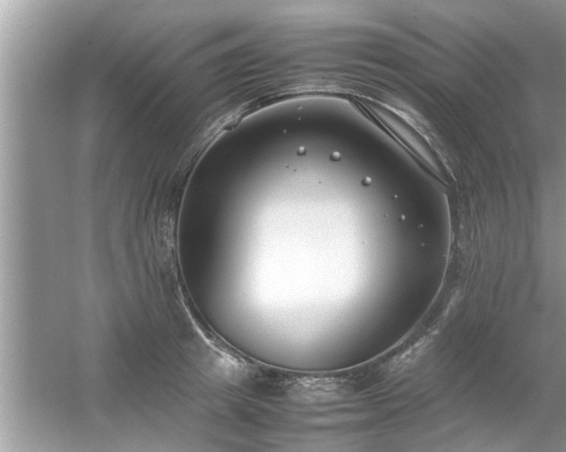 X0000054430849200508051831