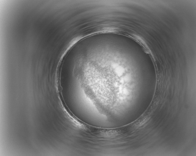 X0000054430851200508051831