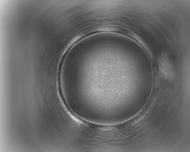 X0000054430853200508051831