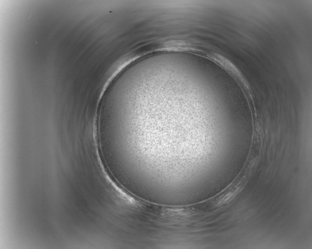 X0000054430855200508051831