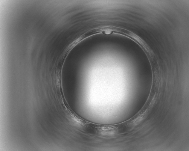 X0000054430857200508051831