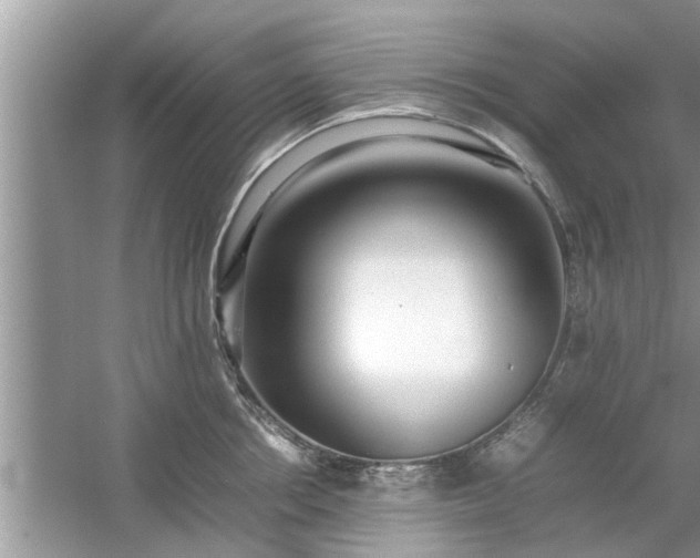 X0000054430858200508051831