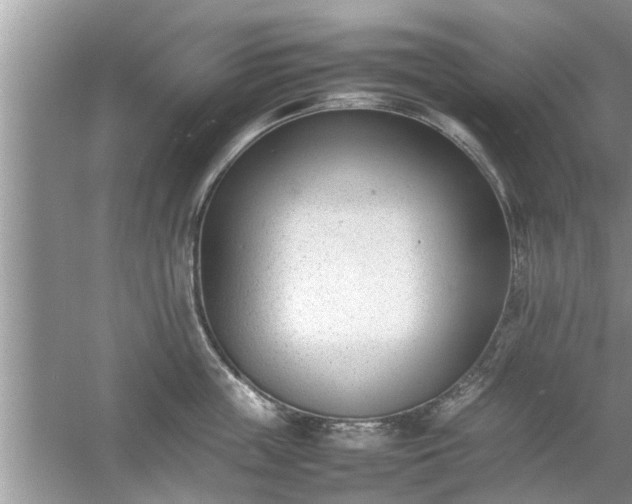 X0000054430859200508051831