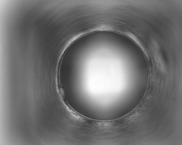 X0000054430861200508051831