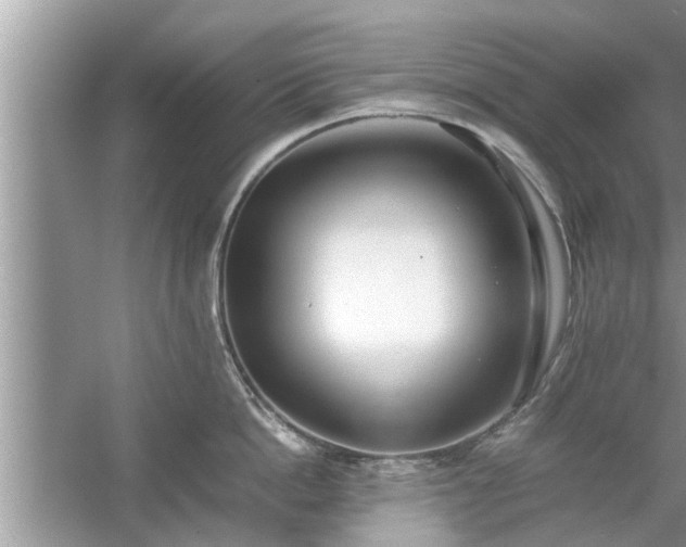 X0000054430862200508051831