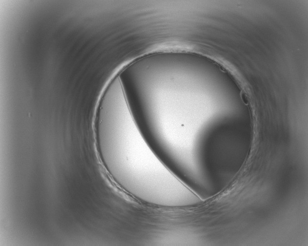 X0000054430864200508051831