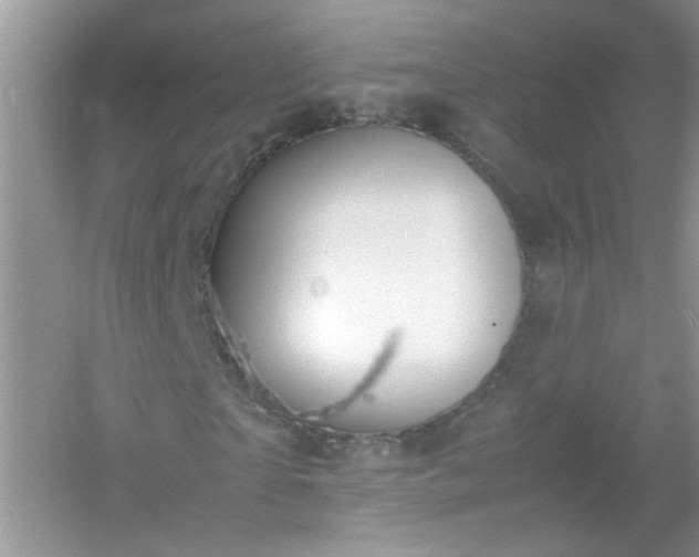 X0000054430865200508051830