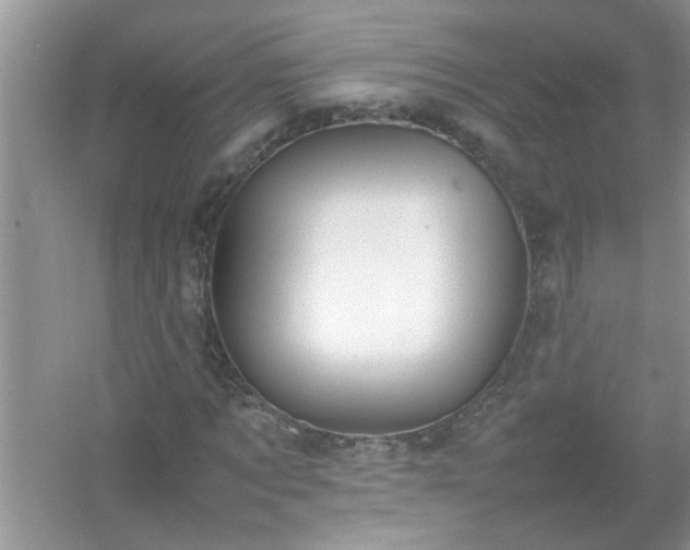 X0000054430869200508051830