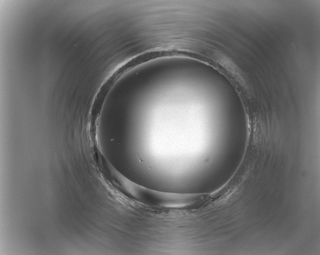 X0000054430876200508051830