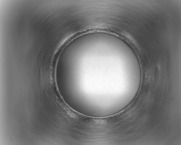 X0000054430878200508051830