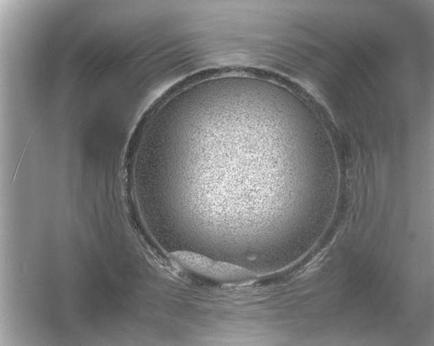 X0000054430879200508051830