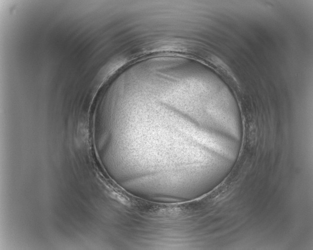 X0000054430882200508051830