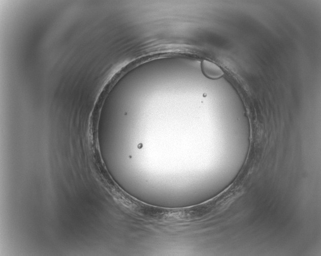 X0000054430883200508051830