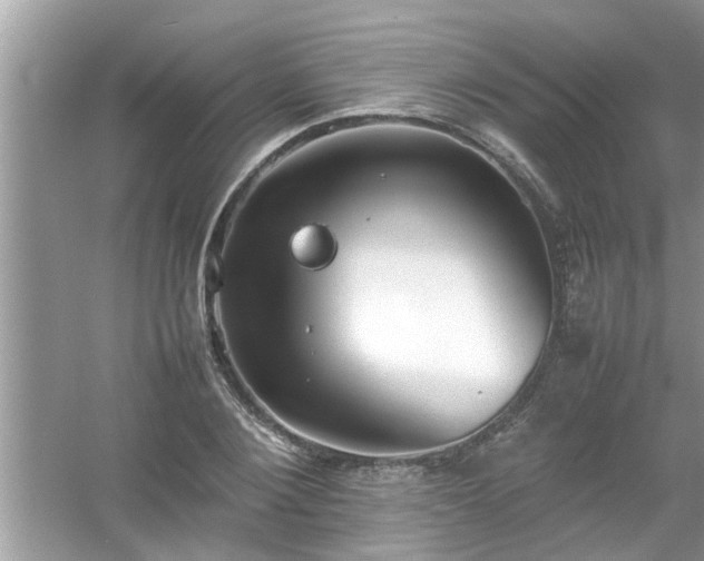 X0000054430884200508051830