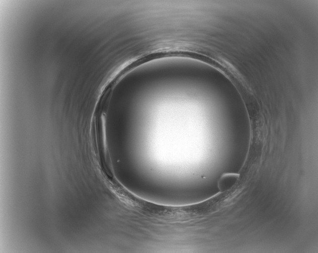 X0000054430885200508051830