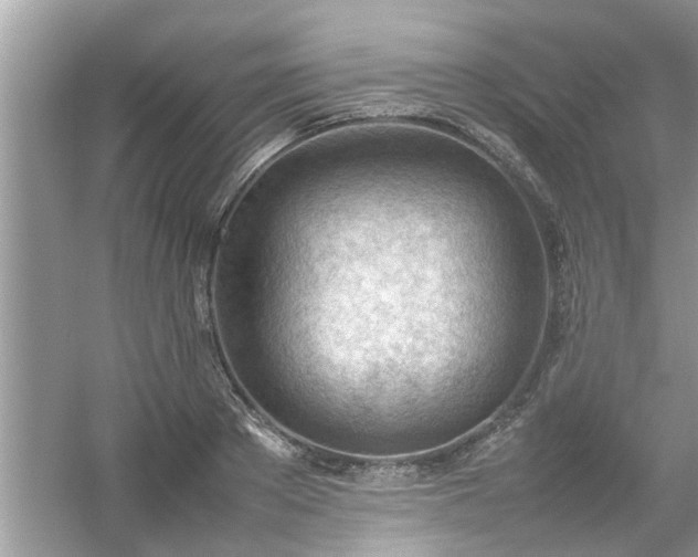 X0000054430889200508051830