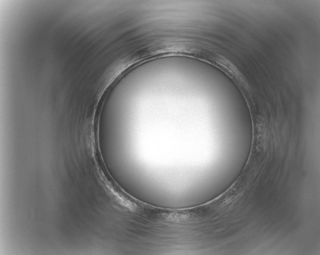 X0000054430890200508051830