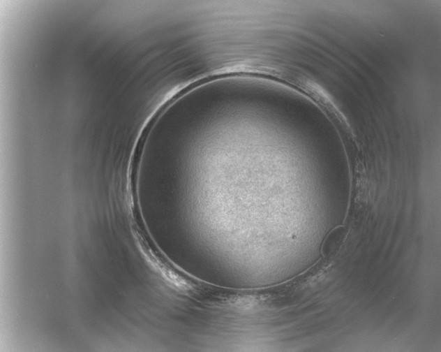 X0000054430892200508051830