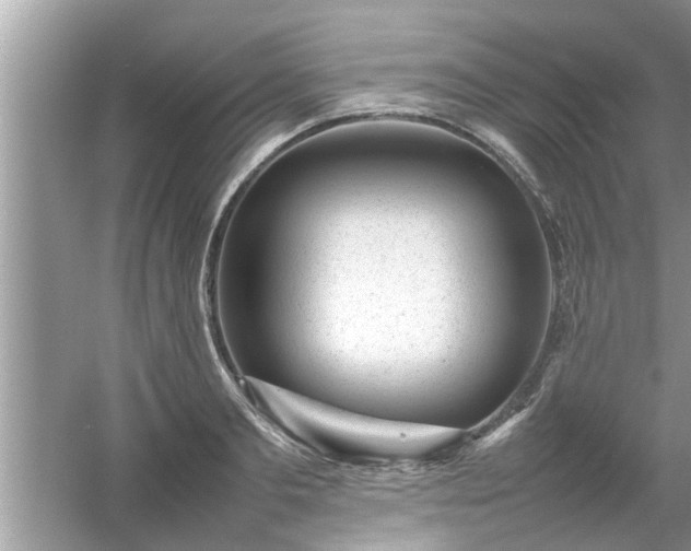 X0000054430893200508051830