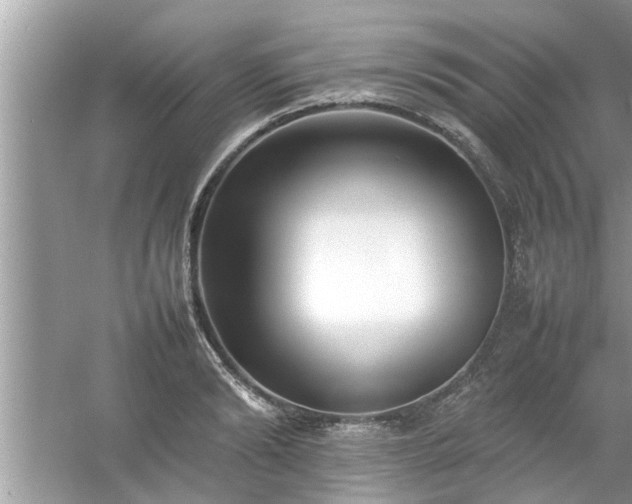 X0000054430894200508051830