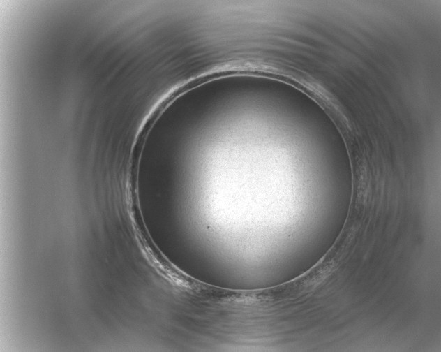 X0000054430896200508051829