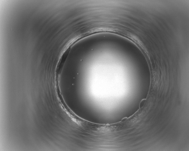 X0000054430898200508051829