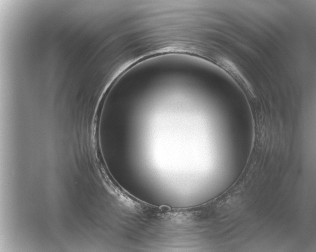 X0000054430900200508051829