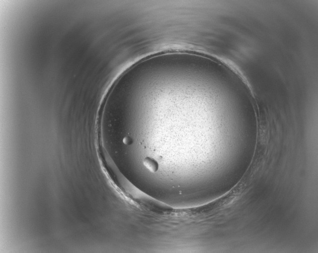 X0000054430903200508051829