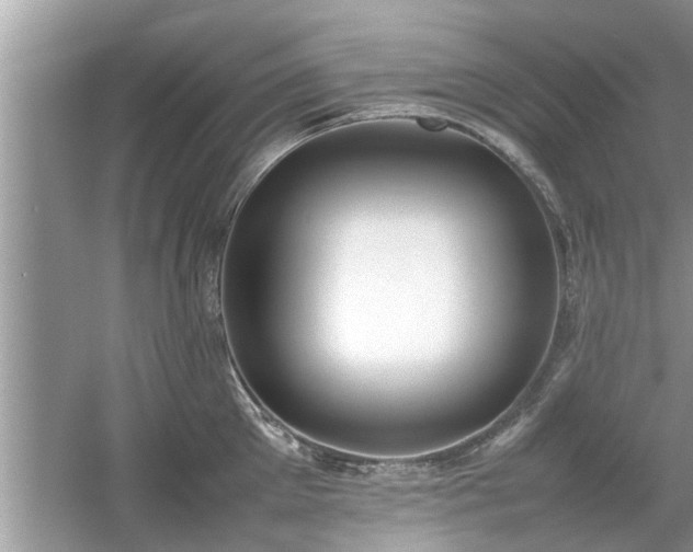 X0000054430905200508051829