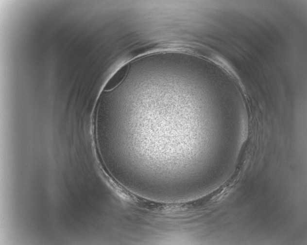 X0000054430907200508051829