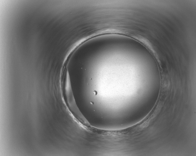 X0000054430910200508051829