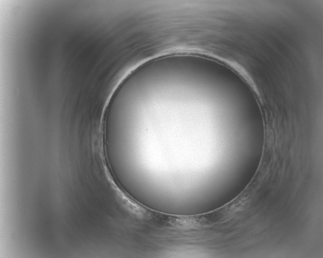 X0000054430911200508051829