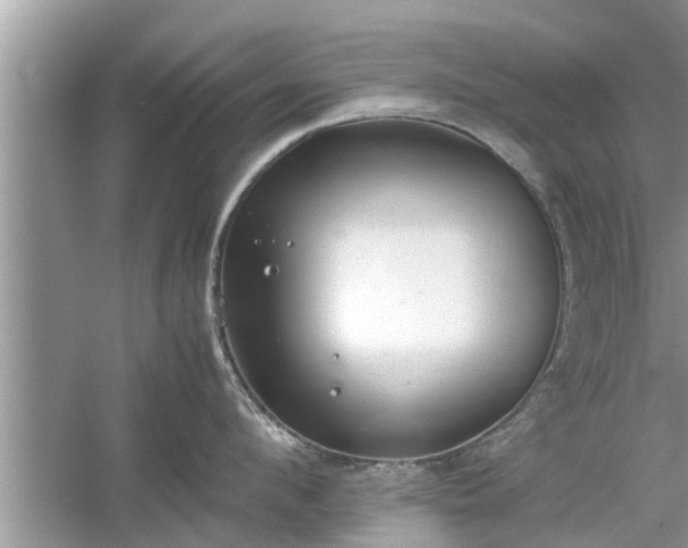 X0000054430912200508051829