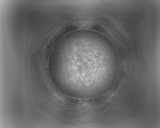 X0000054430913200508051828