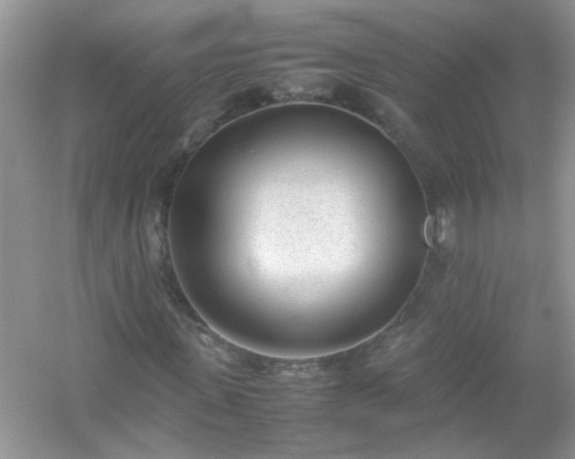 X0000054430915200508051828