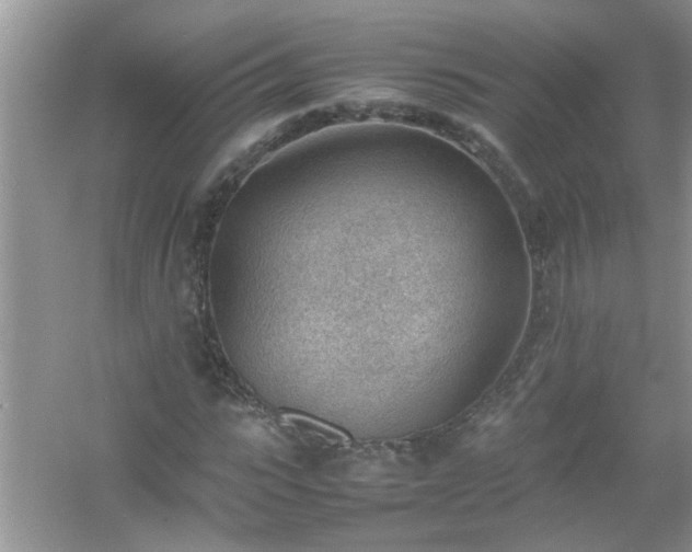 X0000054430919200508051828