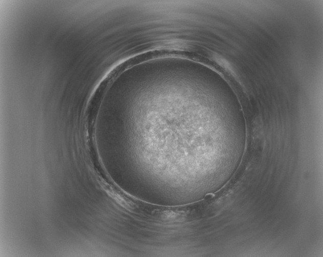 X0000054430923200508051829