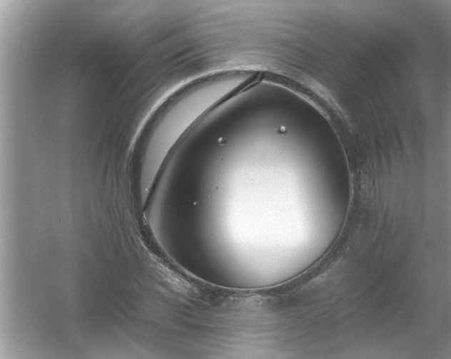 X0000054430926200508051829