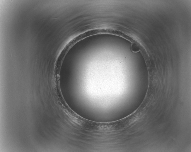 X0000054430927200508051829