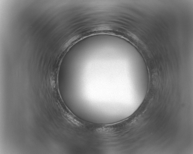 X0000054430929200508051829