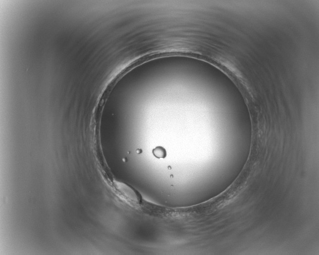 X0000054430933200508051829