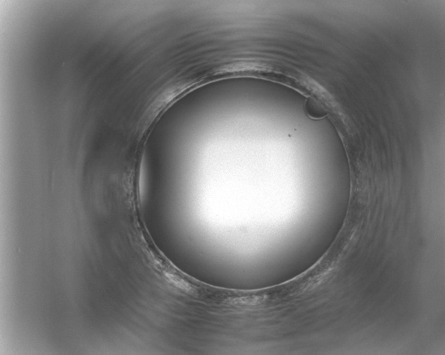 X0000054430937200508051829