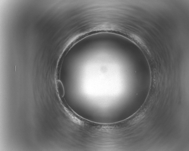 X0000054430942200508051829