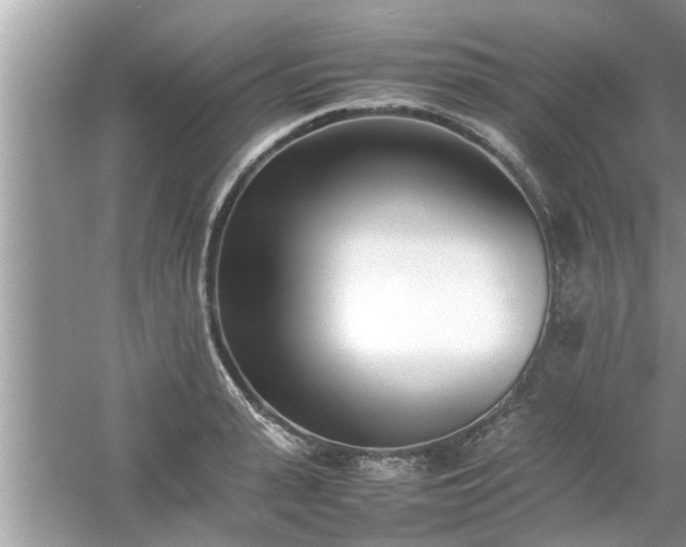 X0000054430943200508051829