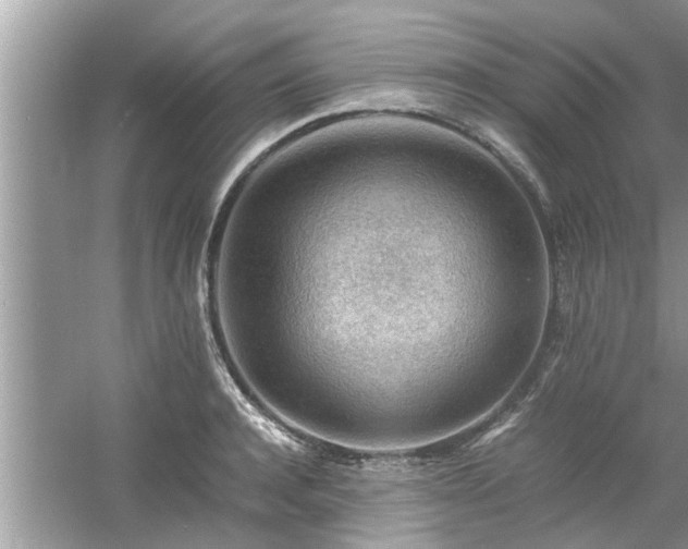 X0000054430944200508051829